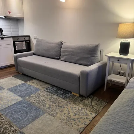 Apartament Five Star Downtown Wilno