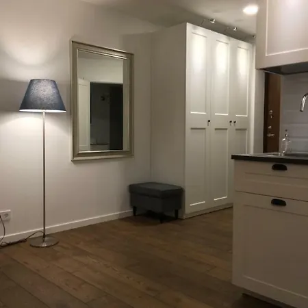 Five Star Downtown Apartment Vilnius