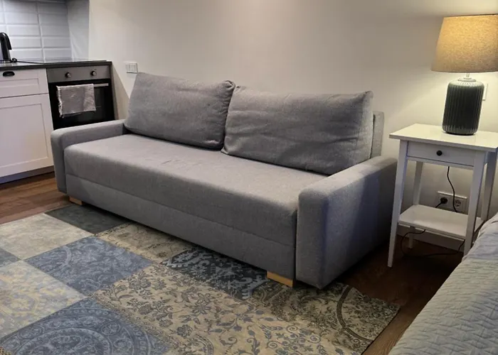 Apartament Five Star Downtown Wilno