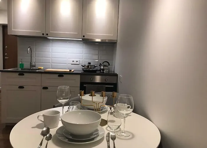 公寓 Five Star Downtown 维尔纽斯