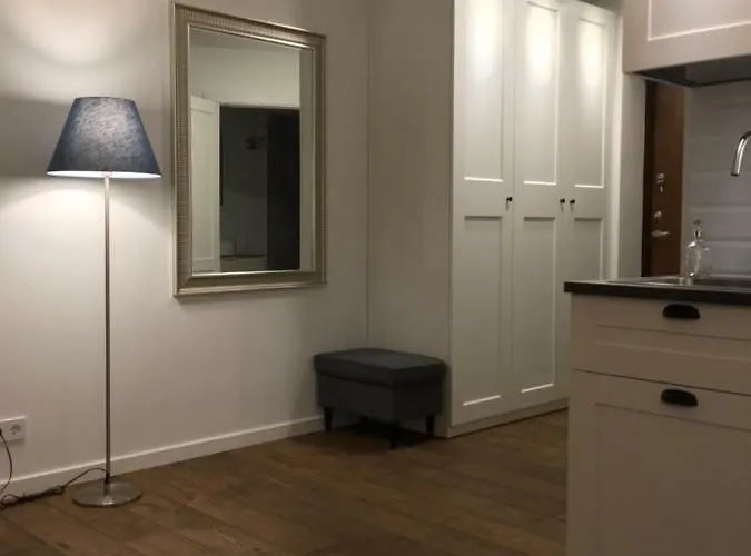 Five Star Downtown Apartman Vilnius